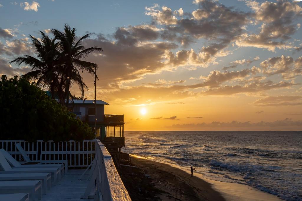 a sunset on the beach with a house and a palm tree at Bella Surf Inn in Isabela