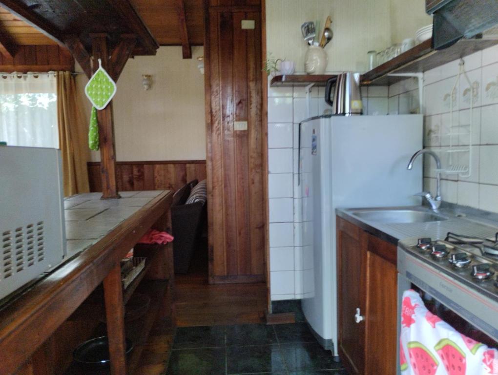 a kitchen with a white refrigerator and a sink at Hospedaje Picoyo in Pucón