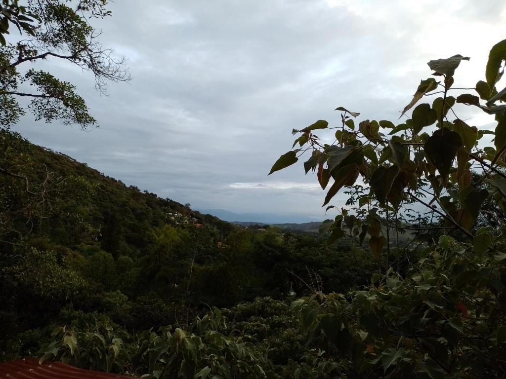 vistas a una colina con árboles y al cielo en Lomaroja ecohabs, en Palmira