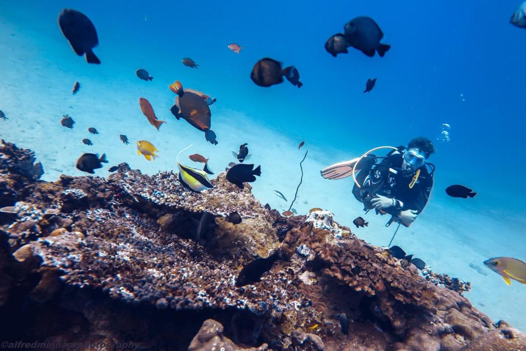 Hosté ubytování Manta Dive Gili Trawangan Resort