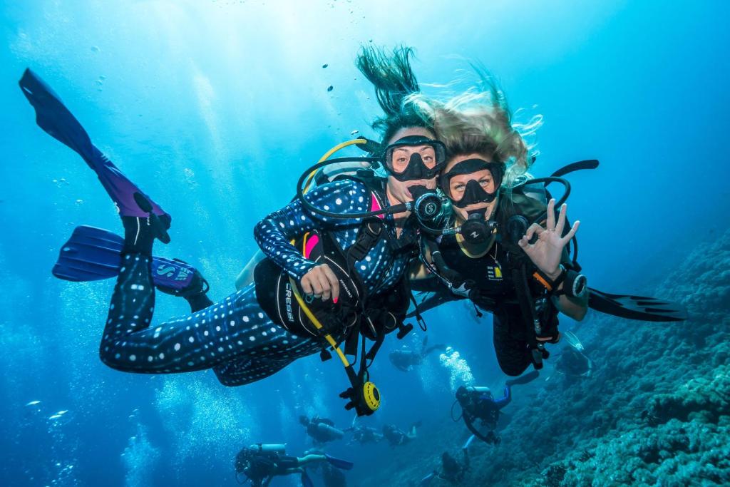 Hosté ubytování Manta Dive Gili Trawangan Resort