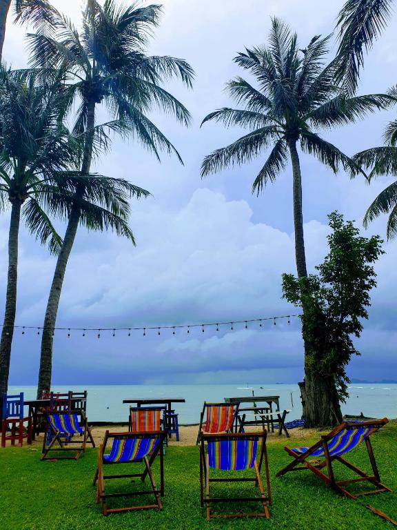 a group of chairs and palm trees on the beach at BEACH HOUSE WOODY in Laem Sor
