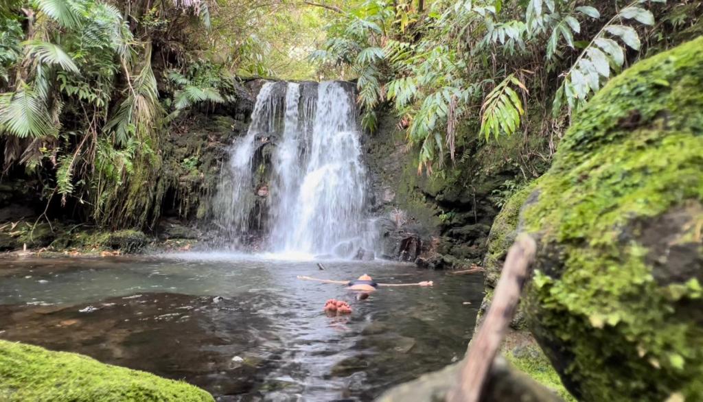 una persona nadando en una piscina frente a una cascada en Big Island Waterfall Home Entire 2 bed 1 bath, en Ninole