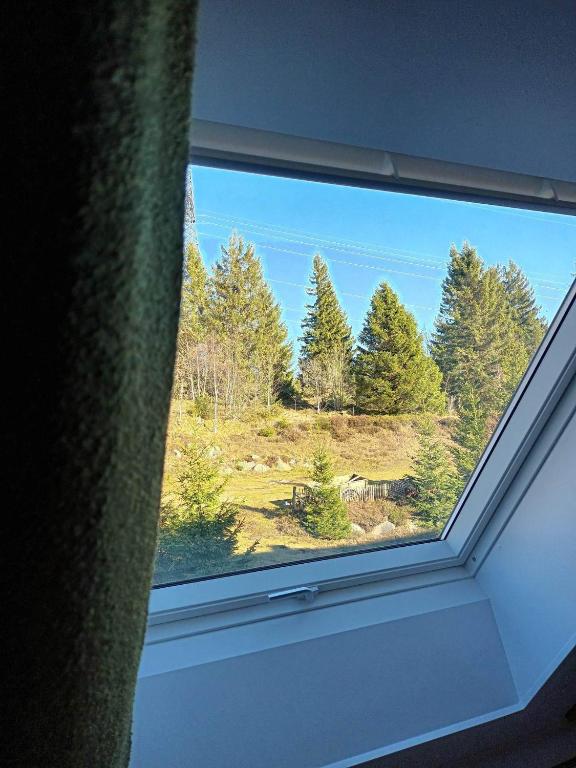Příroda nedaleko apartmánu