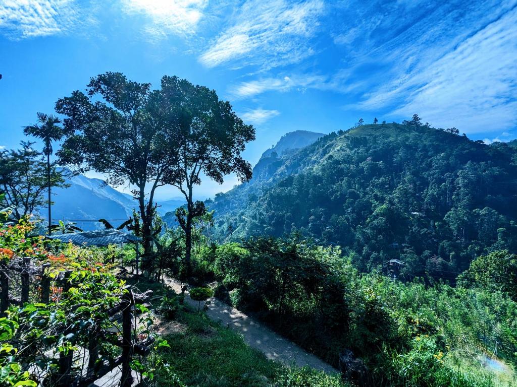 een uitzicht op een berg met een boom erop bij Lavendra Paradise in Ella