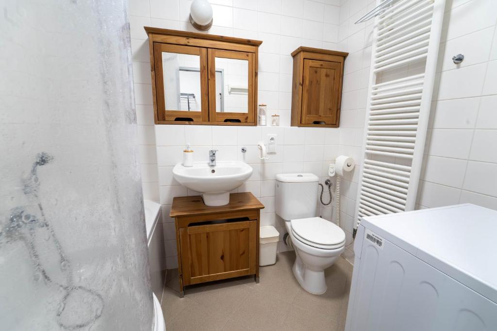 Koupelna v ubytování Apartmán Harrachov 608