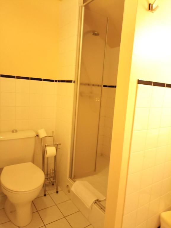a bathroom with a toilet and a shower at La Cremaillere in Miremont