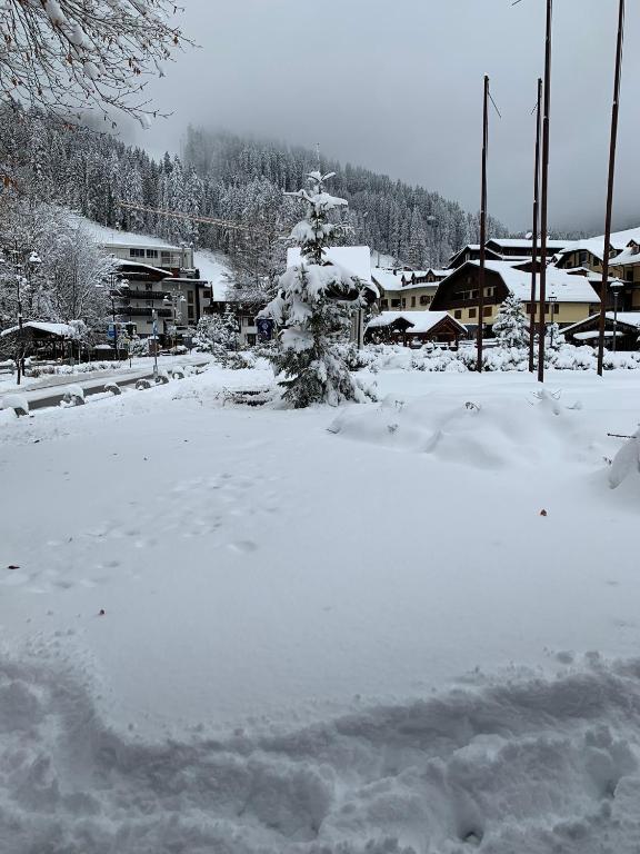 Des Alpes C Flat 11 v zime