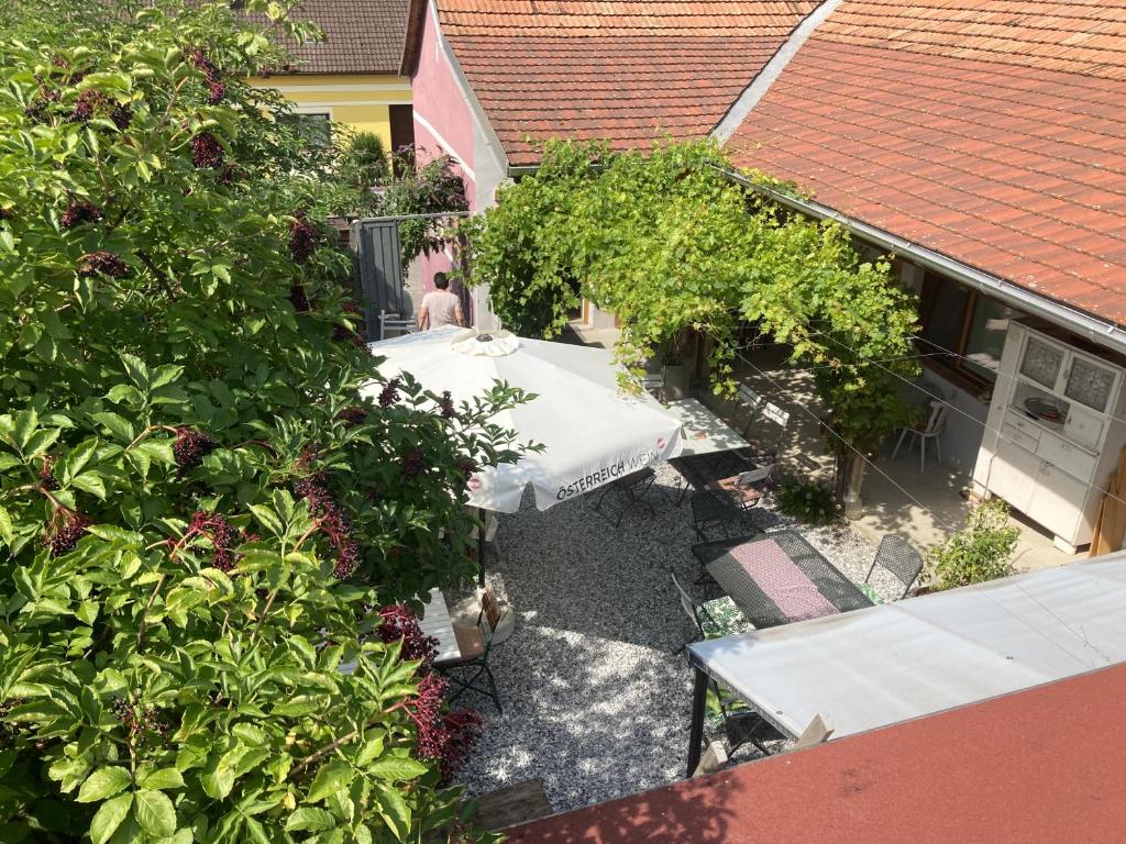Vonkajšia záhrada v ubytovaní Traubengarten Winkler