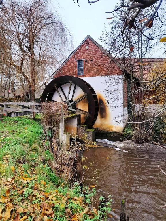 a watermill next to a building next to a river at Vakantiewoning De Luysmolen in Bocholt