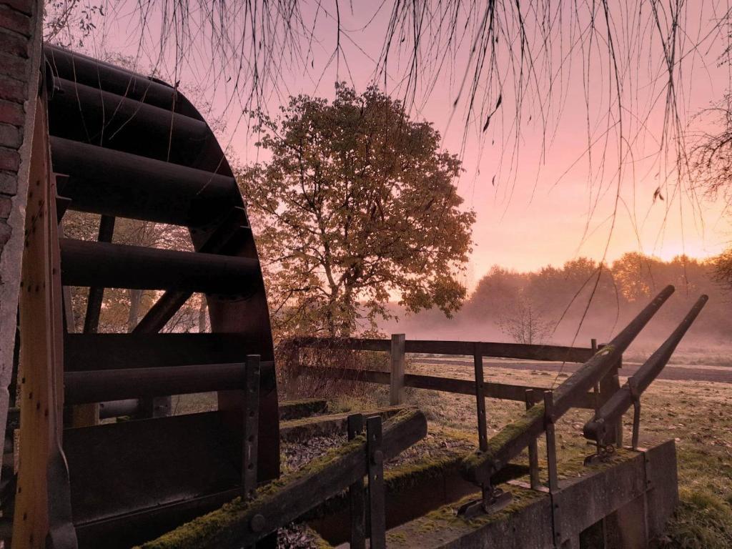 a fence in front of a field with the sun setting at Vakantiewoning De Luysmolen in Bocholt