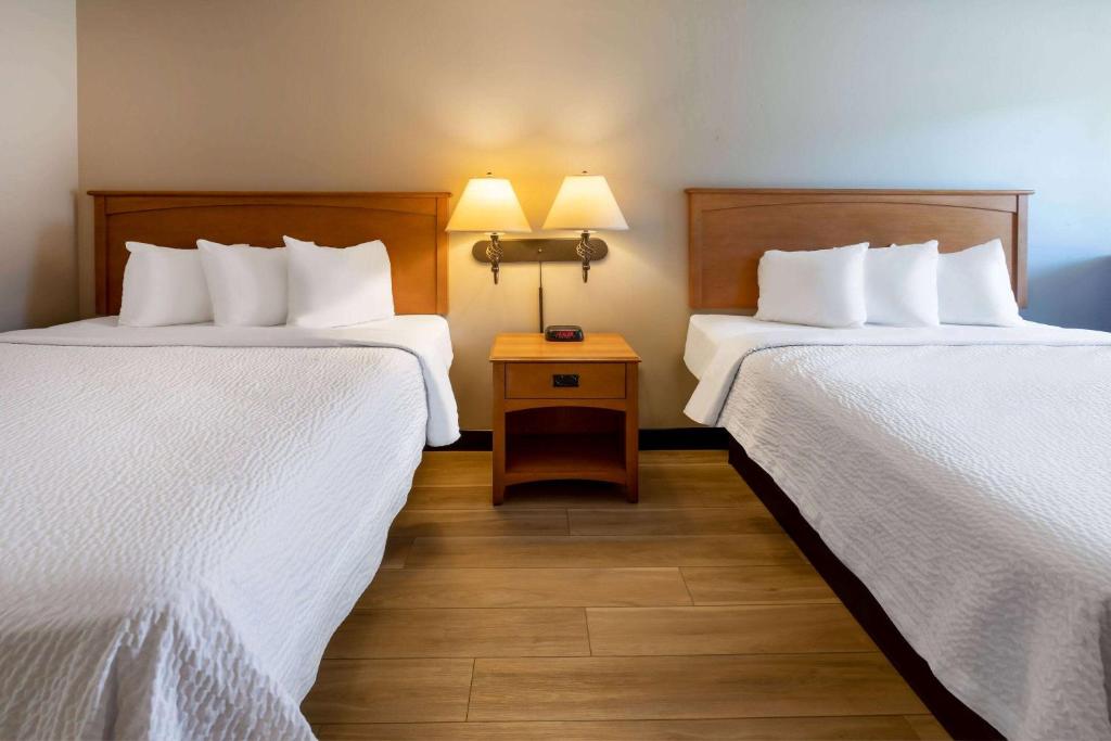 Postel nebo postele na pokoji v ubytování Days Inn by Wyndham Birch Run