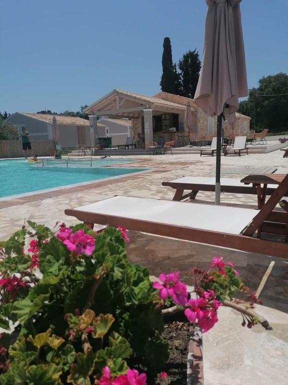 The swimming pool at or close to Astrakeroula Corfu