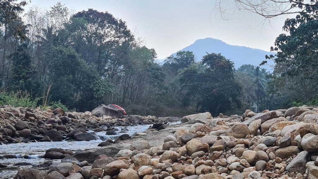 a large group of rocks on a river at PONMUDI DALE. HOMESTAY in Kallar-Bridge