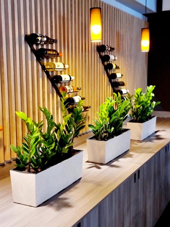 Hit Hotel - Resim 40