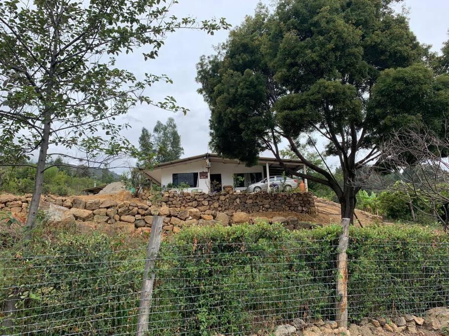 Сад в FINCA VILLA PEDREGAL RAQUIRA
