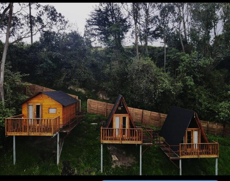 Příroda nedaleko luxury tent