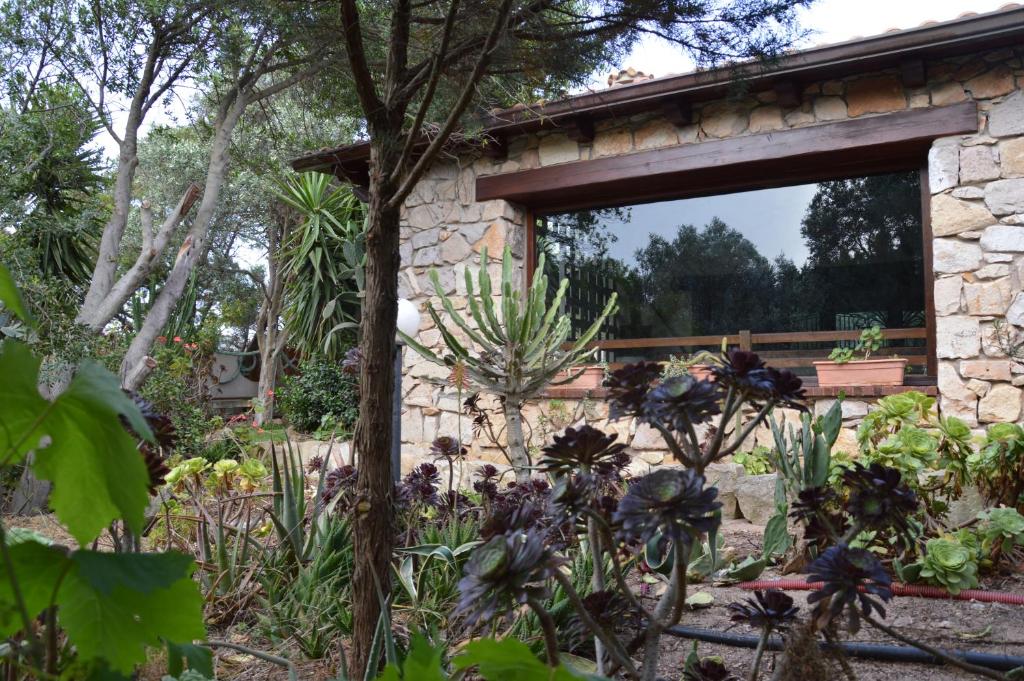 un edificio de piedra con un jardín con plantas en Giardino degli Ulivi, en Gonnesa