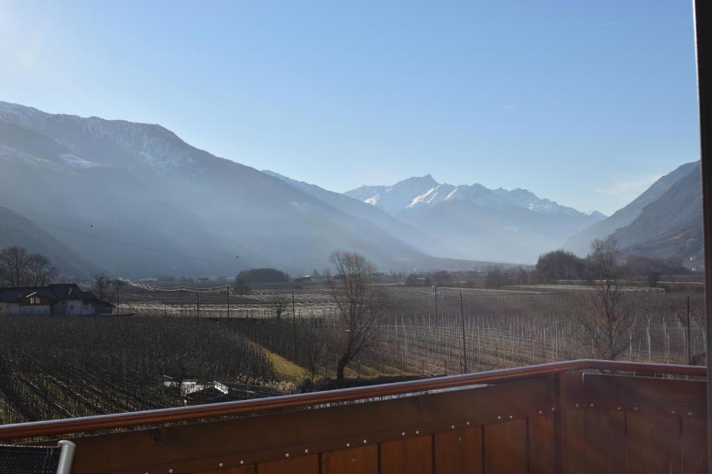 uitzicht op een wijngaard met bergen op de achtergrond bij Ferienwohnung Eule in Parcines