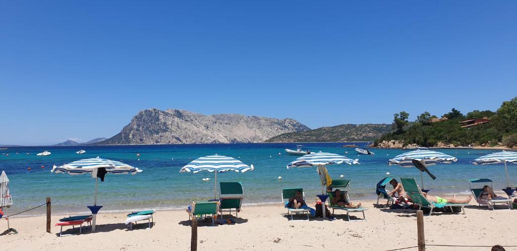 un grupo de personas sentadas en una playa con sombrillas en RESIDENZE Coda Cavallo - Le Farfalle, en Capo Coda Cavallo