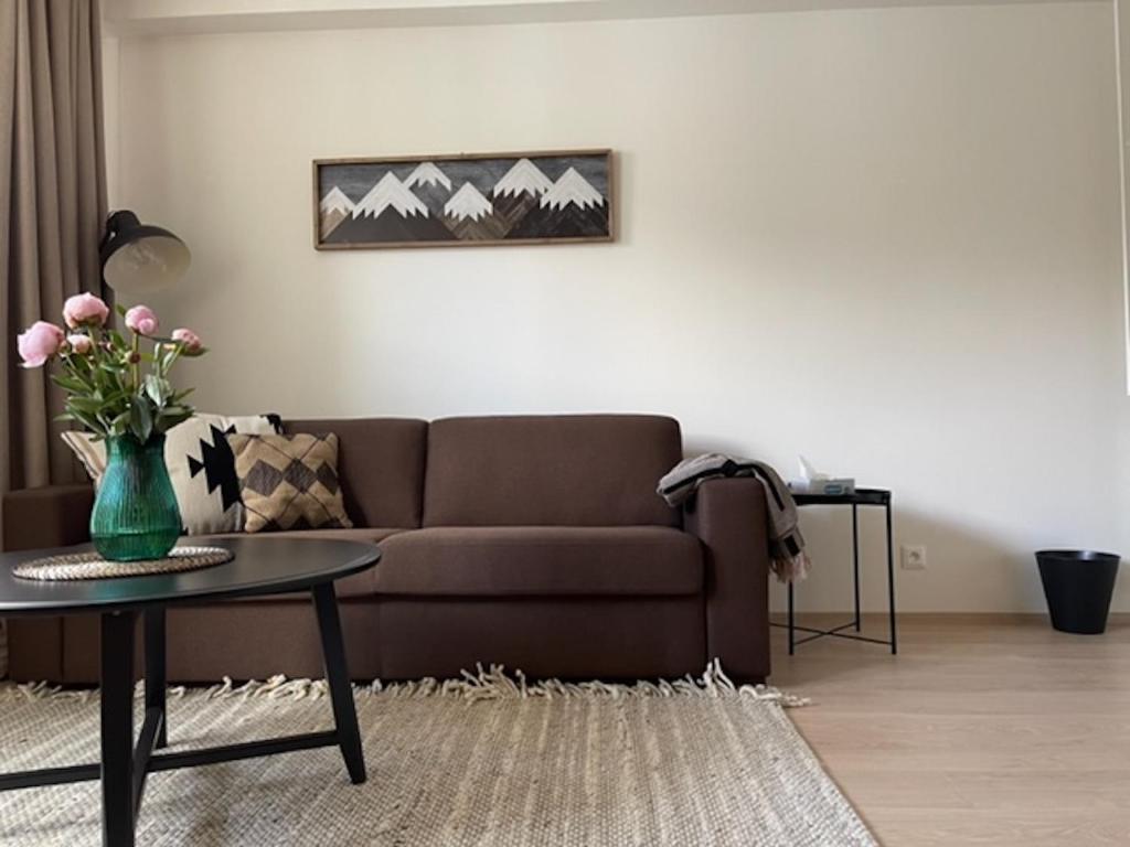 KLINOVEC APARTMENTS LUXURY - Appartement D'une Chambre