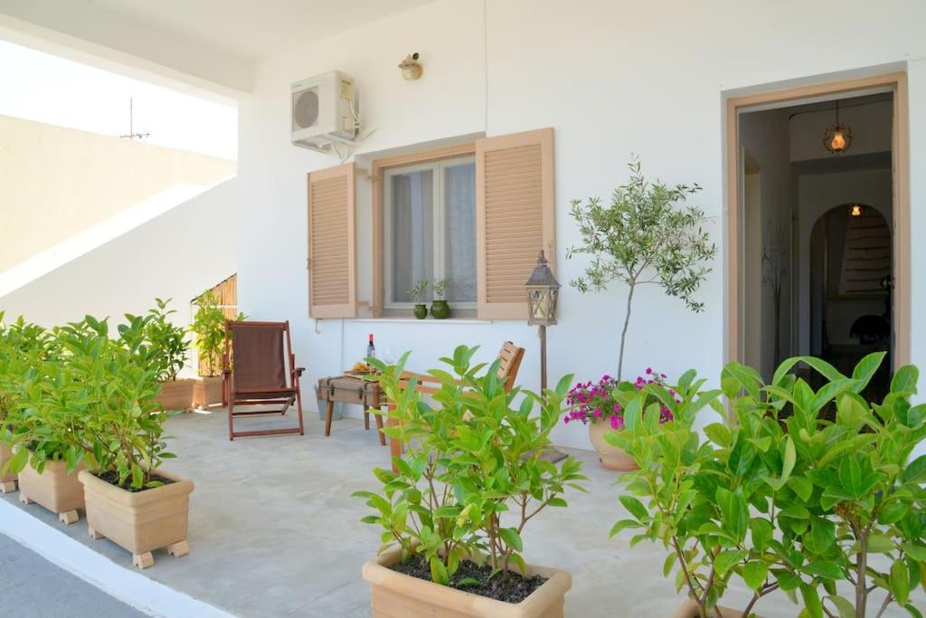 un patio con macetas en un edificio en L'olivier Milos, en Plaka Milou