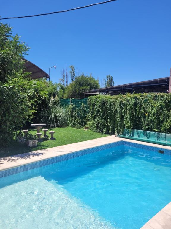 een zwembad met blauw water in een tuin bij Posada de Emilia in Albardón