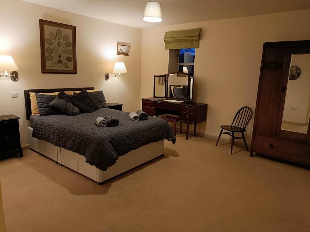 a bedroom with a bed and a dresser and a mirror at Pandy Barn Berriew in Welshpool