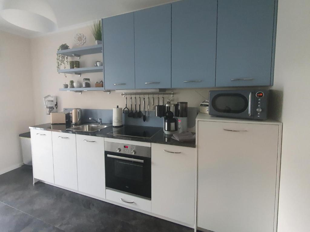 Kuchyň nebo kuchyňský kout v ubytování Ferienwohnung ODIN, FREYA & THOR