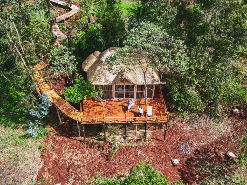 una vista aérea de una casa con techo de paja en Foresight Eco Lodge & Safari, en Karatu