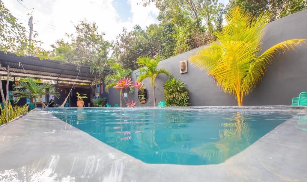 圖盧姆的住宿－Turquoise Tulum Hotel，一座游泳池,旁边是一座棕榈树