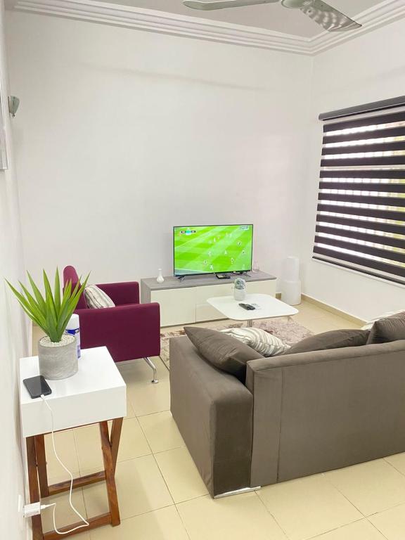 salon z kanapą i telewizorem w obiekcie PARADISE FB w mieście Kotonu