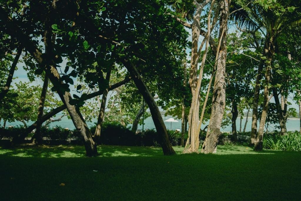 a group of trees in a park with green grass at Casa Colonial Beach & Spa in San Felipe de Puerto Plata