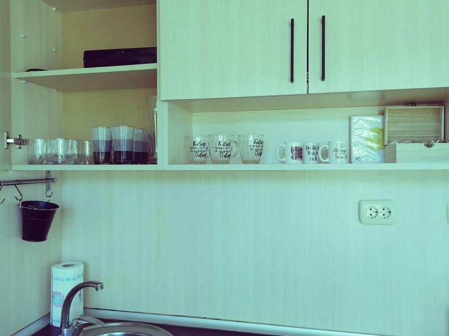 Kuchyň nebo kuchyňský kout v ubytování Alexander Apartments Kyustendil