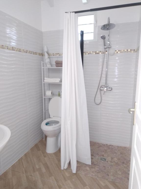 ein weißes Bad mit einem WC und einer Dusche in der Unterkunft Le papillon bleu in Sainte-Anne