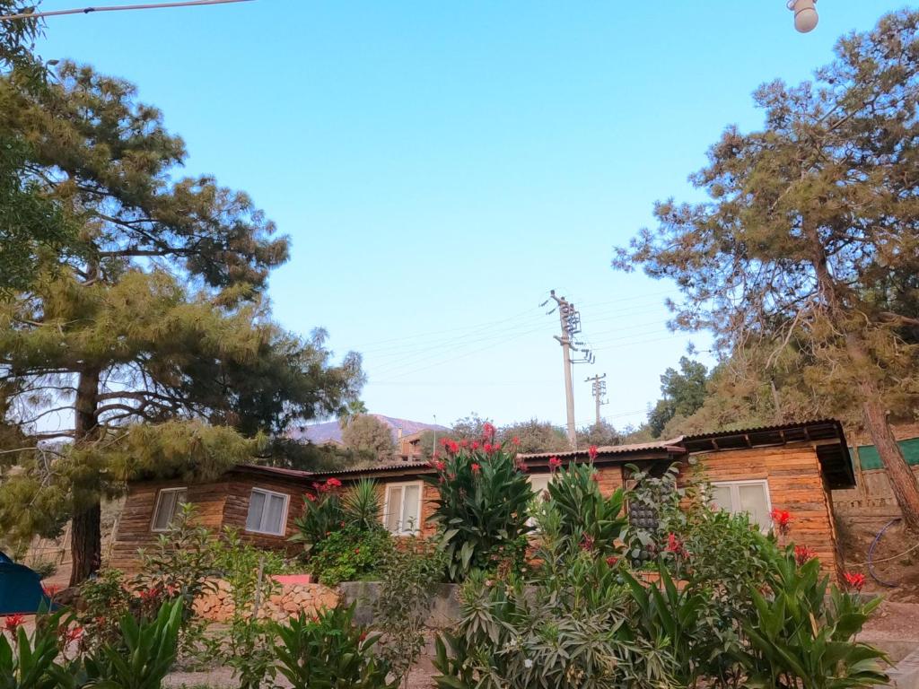 dom z drzewami i roślinami przed nim w obiekcie Bahçeli büyük köy evi w mieście Fethiye