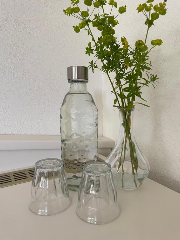 Nápoje v ubytování Boutique Guesthouse Das WOHLGEMUTH HEIM Mosel Weingut