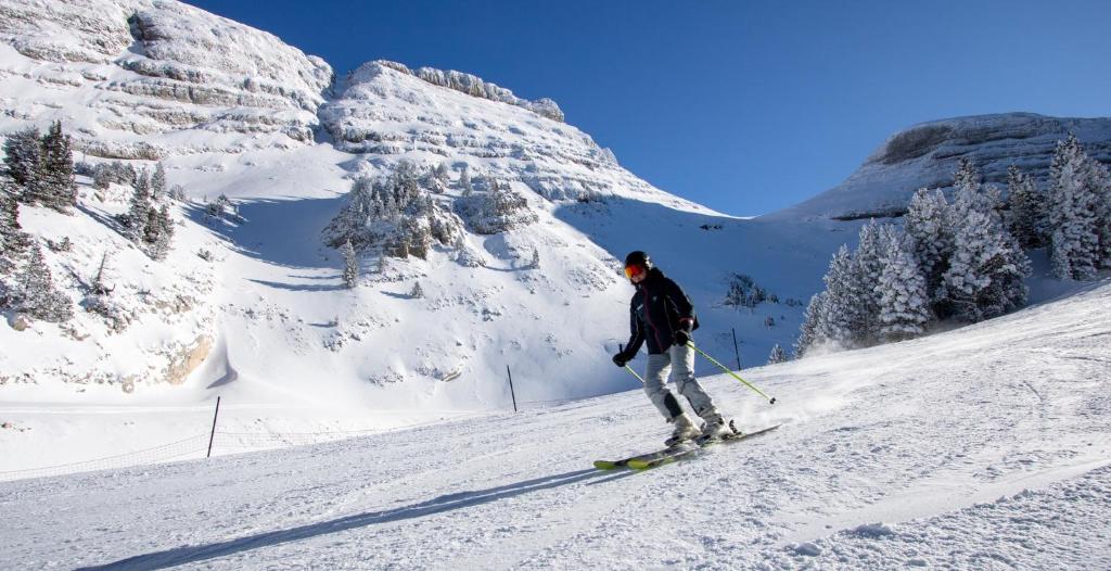 VILLARD DE LANS v zime