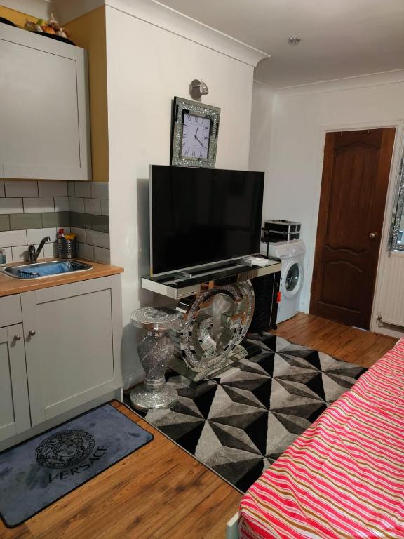 a kitchen with a flat screen tv and a checkered floor at GRAVESEND - BEAUTIFUL Studio in Kent