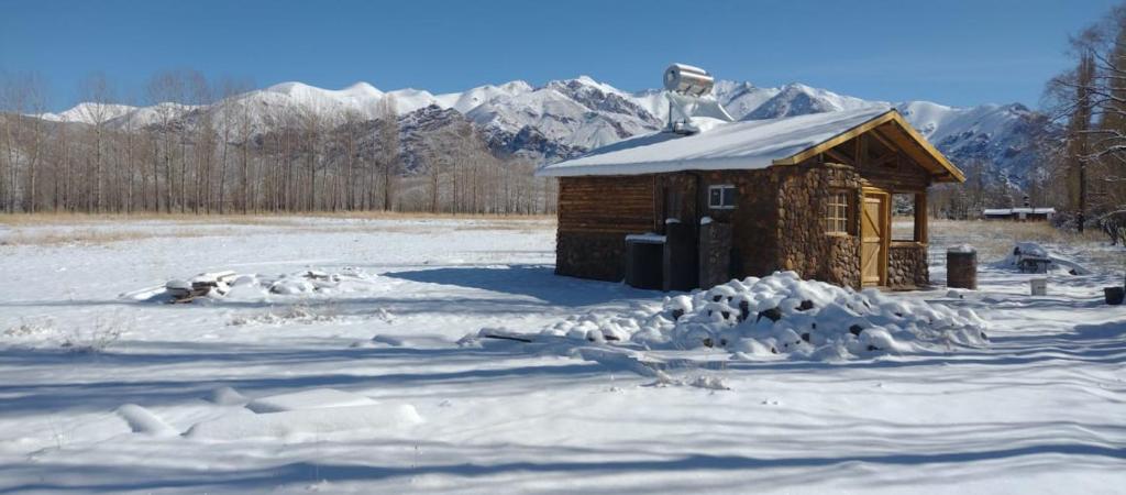 Cabaña de madera pequeña en un campo cubierto de nieve en FINCA LA PAZ en Uspallata