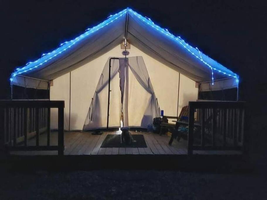 a tent with blue lights on top of it at Cozy Glamp Tents at Wildland Gardens in Joseph