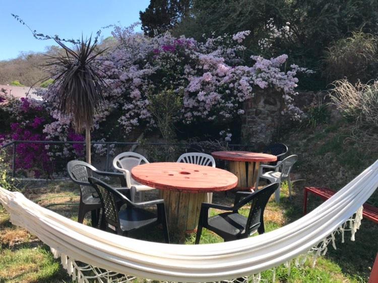 Zahrada ubytování Lapacho Hostel Salta Coliving