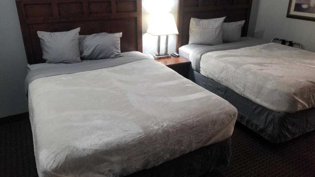 um quarto de hotel com duas camas e um candeeiro em OSU 2 Queen Beds Hotel Room 135 Booking em Stillwater