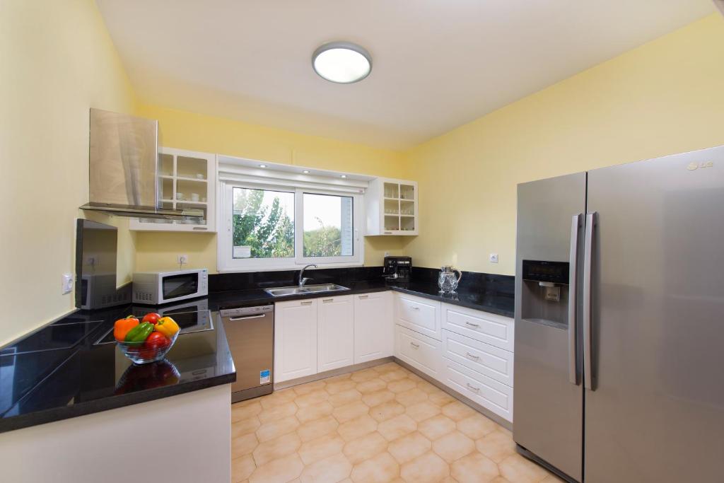 Kuchyň nebo kuchyňský kout v ubytování Villa Dora