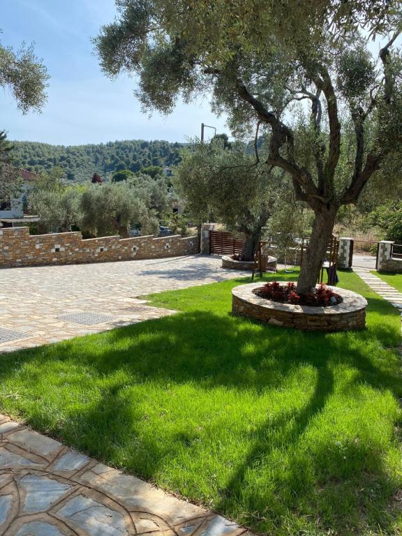 Zahrada ubytování Agrielia Seafront Katigiorgis, Agios Georgios, Pelion