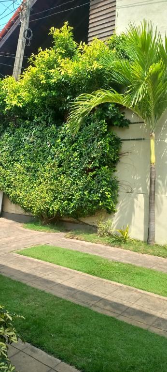 Zahrada ubytování Ocean View tourist guest house at Negombo beach near the airport