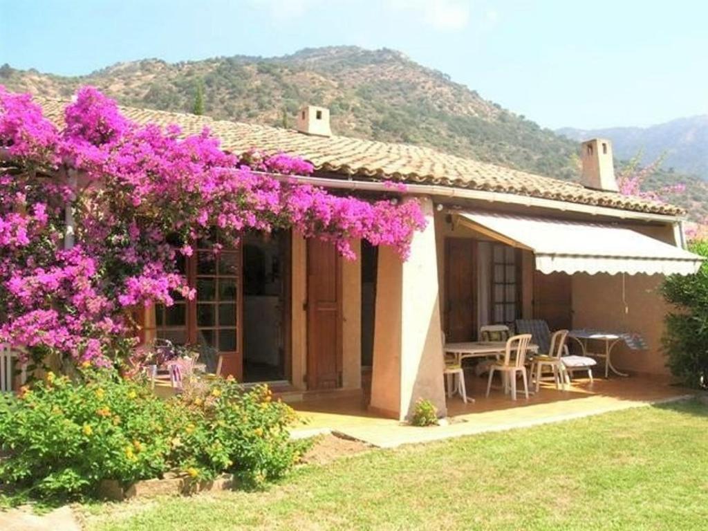 une petite maison avec des fleurs violettes dans la cour dans l'établissement Maison cosy avec mezzanine, jardin et terrasse à 600m de la plage de Saint-Clair, 6 couchages - FR-1-251-46, au Lavandou