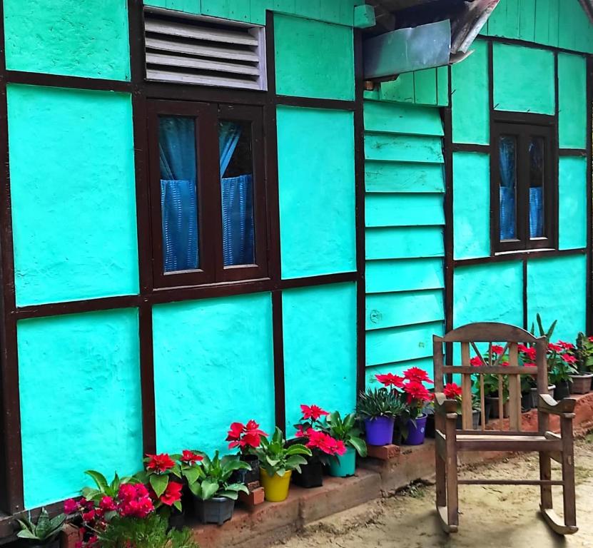 a blue house with flowers and a chair at Live in Nature in Darjeeling