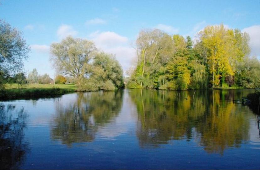 ein Fluss, in dem Bäume im Wasser reflektiert werden in der Unterkunft Le cottage de L’héron 