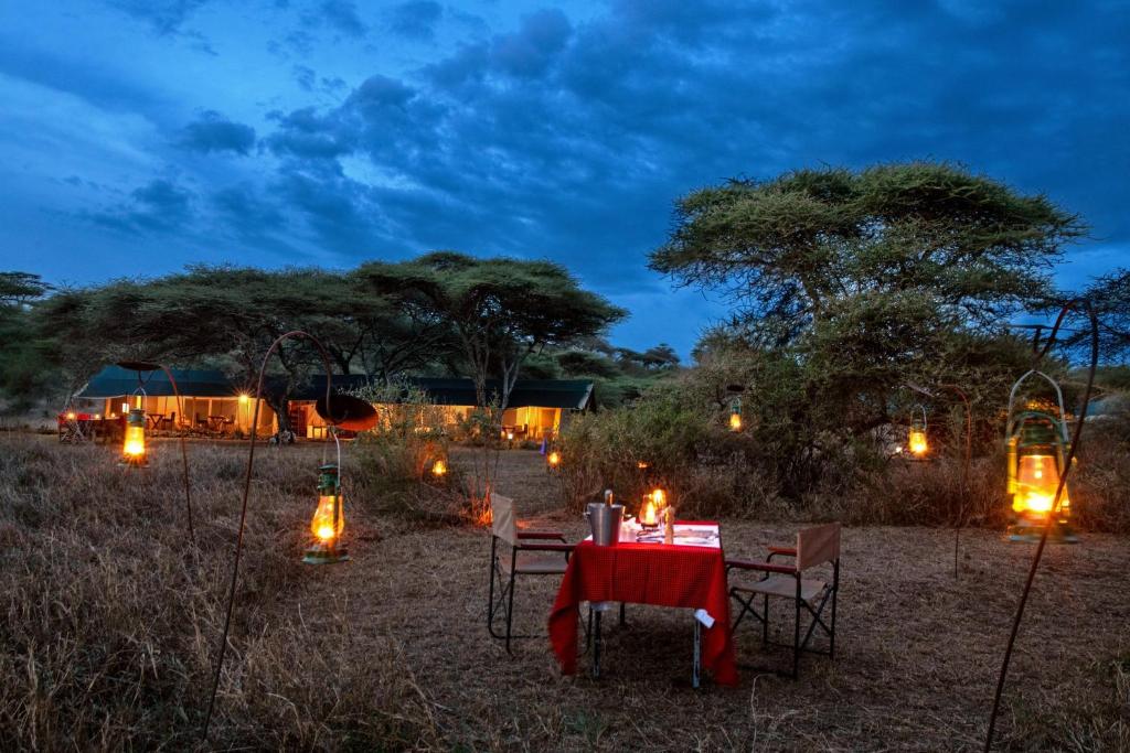 una mesa de cena con luces en un campo por la noche en Serengeti Woodlands Camp, en Serengeti